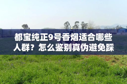 都宝纯正9号香烟适合哪些人群？怎么鉴别真伪避免踩坑？